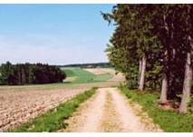  Meister Lampe´s Wald und Wiesenlehrpfad in Windigsteig (c) TV Marktgemeinde Windigsteig