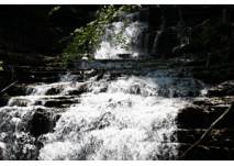 Wasserwunder Tiefenbach, copyright: Diana Wasserwunder Tiefenbach