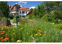 Kräuterpfarrer-Weidinger-Zentrum in Karlstein/Thaya (c) Vereins der Freunde der Heilkräuter Kräuterpfarrer-Weidinger-Zentrum in Karlstein/Thaya