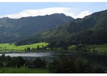 Feuchtwiesenwanderweg Weissensee, copyright: Diana Feuchtwiesenwanderweg Weissensee