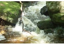 Ysperklamm