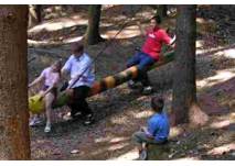 Wald der Kinder, copyright: Gemeinde Zell am Pettenfirst Wald der Kinder