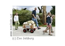 Salzburg Zoo Sommerferien Zoo Salzburg