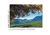 Unterach Edelkastanienwald Waldlehrpfad Edelkastanienwald Unterach