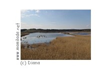 Lamprechtshausen Weidmoos Vogelparadies Weidmoos