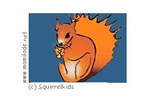 Squirrelkids Salzburg