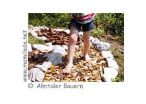 Glankerlweg wandern ü Glankerlweg Almtal wandern mit Kindern