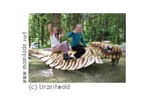 Gosau Urzeitwald Kindergeburtstag Kindergeburtstag im Urzeitwald in Gosau