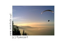 flymozart