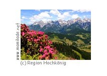Hochkönig Bergbahnen Hochkönig Bergbahnen