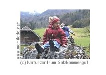 Salzkammergut Naturzentrum Naturzentrum Salzkammergut