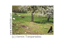 Tierparadies Schabenreith Tierparadies Schabenreith