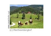 Taxenbach Oberhasenberghof Urlaub am Kinderbauernhof