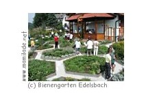 Bienengarten Edelsbach Bienengarten Edelsbach
