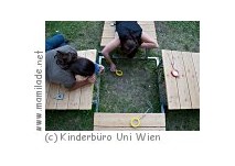 Wissenschaftsspielplatz