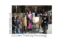 Lama Trekking Kindergeburtstag