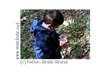 Natur-Wald-Wiese Kindergeburtstag