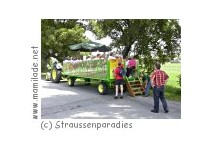 Straussenparadies Kribbel Straussenparadies Kribbel