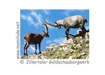 Zillertaler Goldschaubergwerk