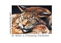Wildpark  Freizeitpark Ferleiten