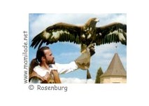 Schloss Rosenburg Greifvogel