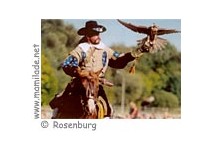 Greifvogel Flugvorführungen zu Pferd auf Schloss Rosenburg