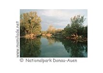 Nationalpark Donau-Auen