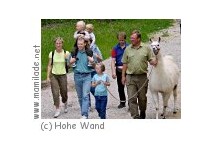 Lamawanderung durch den Naturpark Hohe Wand ü Lamawanderung durch den Naturpark Hohe Wand