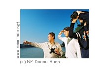 Geführte Wanderungen im Nationalpark Donau-Auen