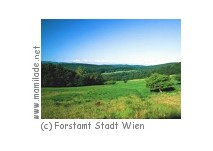 Lainzer Tiergarten Wiese ü Lainzer Tiergarten Wiese