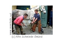 Schaumuseum Alte Schmiede