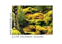 Naturpark Hochmoor Schrems