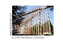 Himmelsleiter im Naturpark Hochmoor Schrems