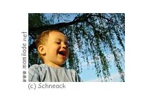 Waldlehrpfad Gsohl m Waldlehrpfad Gsohl