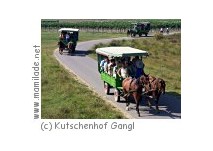 Pferde-Kutschenfahrt in Illmitz ü Pferde-Kutschenfahrt in Illmitz