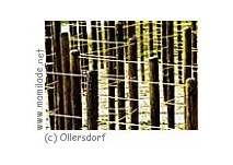 Ollersdorf Kraftweg Labyrinth ü Ollersdorf Kraftweg Labyrinth