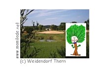 Weidendorf Thern