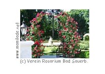 Rosarium Bad Sauerbrunn
