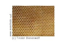 Tiroler Bienenwelt in Söll