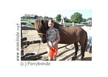 Die Ponybande in Mühlleiten
