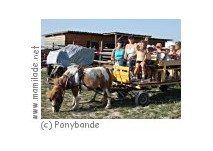 Kindergeburtstag bei der Ponybande in Mühlleiten