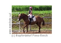 Biopferdehof Piano-Ranch in Altpölla