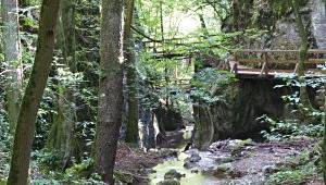 Hagenbachklamm St. Andrä - Wördern (c) PB Hagenbachklamm St. Andrä - Wördern