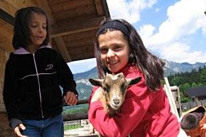 Dorf der Tiere, copyright: Diana