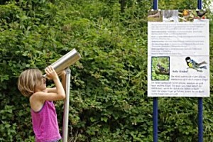 Vogelkundeweg Gutau, copyright: Gemeinde Gutau Vogelkundeweg Gutau, copyright: Gemeinde Gutau