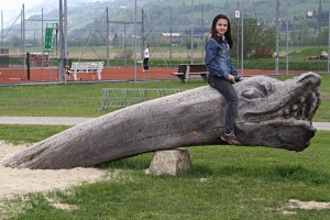 Spielplatz Niedernsill copyright: Diana