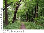 Niedernsill Sommerprogramm Elfen Niedernsill Sommerprogramm Elfen
