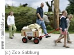 Salzburg Zoo Sommerferien Salzburg Zoo Sommerferien