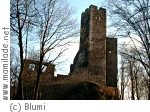 Haibach Burgruine Stauff Haibach Burgruine Stauff