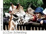 Schule Zoo Schmiding Schule Zoo Schmiding